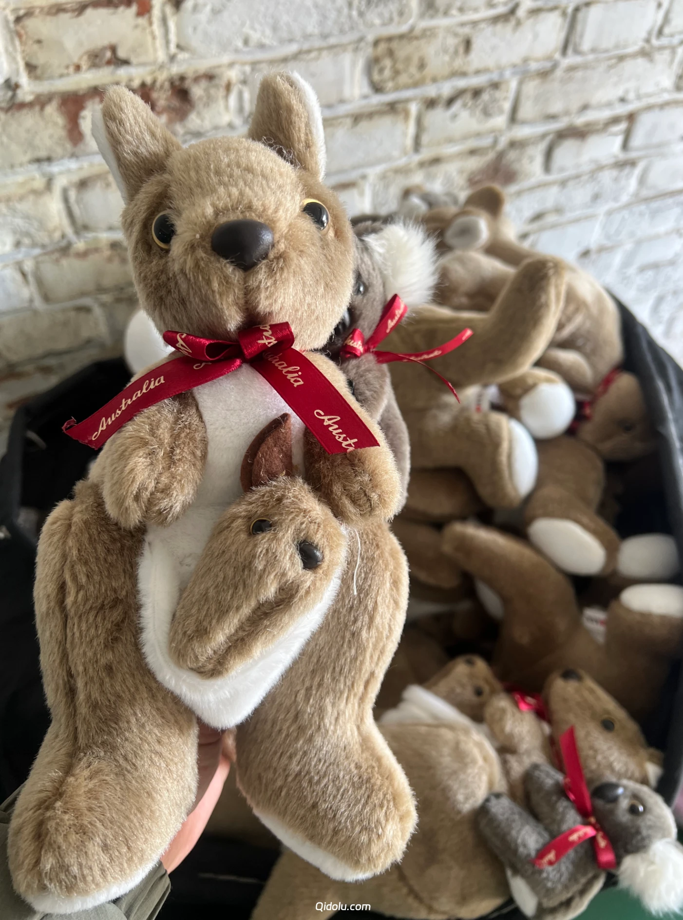 The “Aussie Pals” Kangaroo & Koala Plush – A Tale of Down Under Friendship